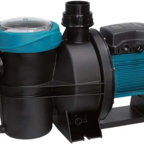 Ecopropulsion ESPAÑOL - Bomba para Piscina SILEN S2 200 31 230V 33m3/h código 203158