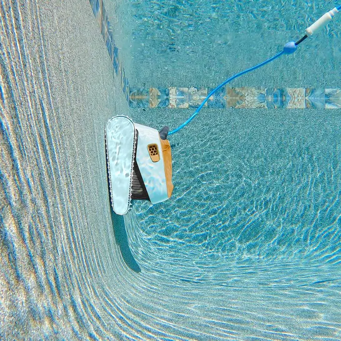 Dolphin EX30 - Imagen 6